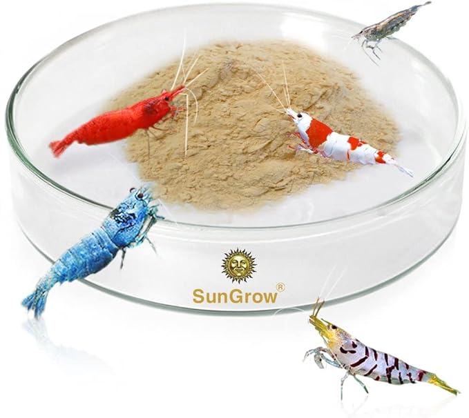 SunGrow Tough Borosilicate Glass Shrimp & Gecko Feed Dish, Wide and Deep, Transparent Basin for Shrimp Food, Dog & Cat Medicine Holder
