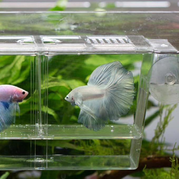 2-Layer Aquarium Fish Breeding Box 22x9.5x10cm Fry Incubation Container Fish Isolation Tank for Guppy and Betta Fry Hatchery