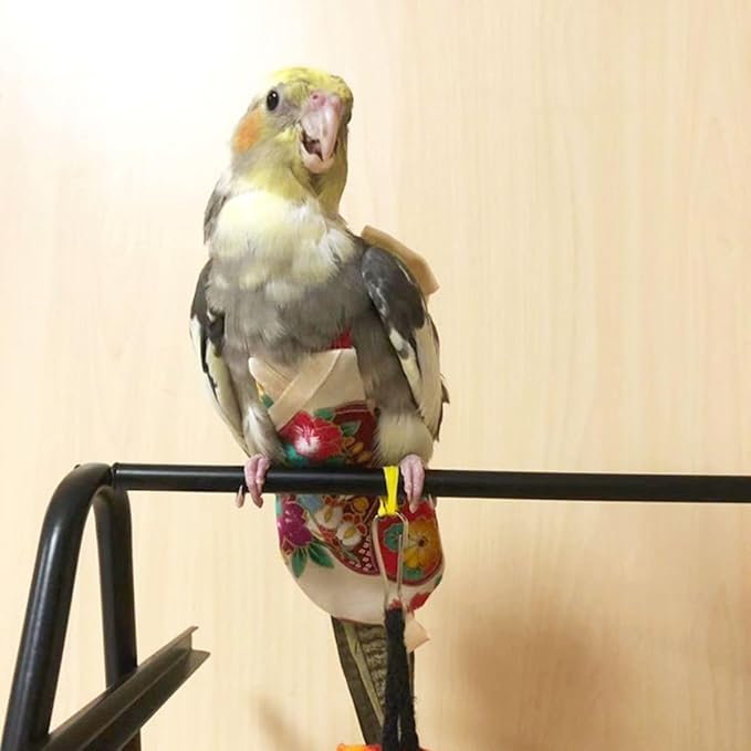 Bird Flight Suits Diapers, Parrot Flight Suits Diapers for Quaker Parakeets Cockatiels Flight Suits, Parrot Clothes (Almond A,XS)