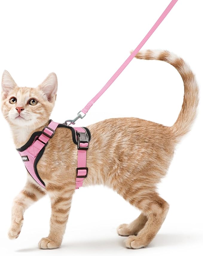rabbitgoo Cat Harness and Leash for Walking, Escape Proof Soft Adjustable Vest Harnesses for Cats, Easy Control Breathable Reflective Strips Jacket, Pink, S