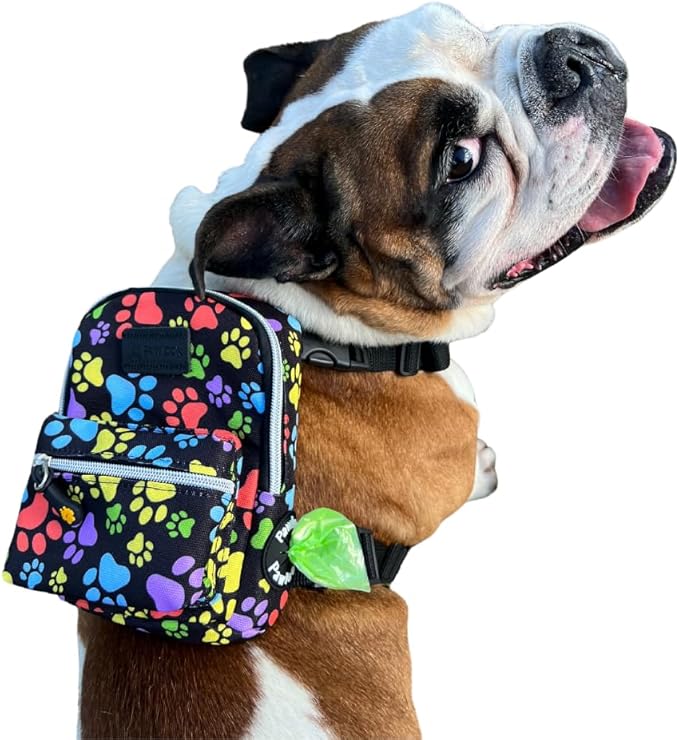 PawLook Dog Backpack to Wear with Chest Harness Self Carrier dogbag with Additional Pocket for Poop Bag Anti Slip Stylish Dog Bag for Your pet Street Smart Serie Pawsup Orange M