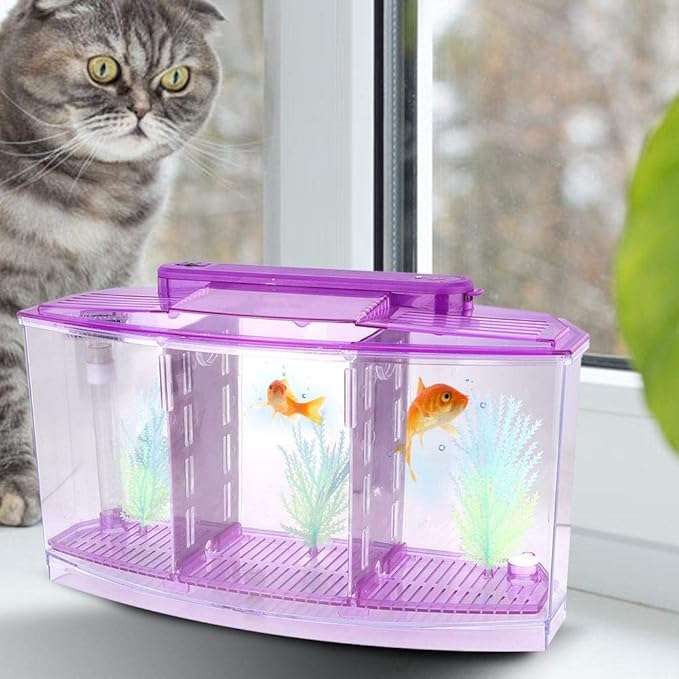 Three Areas Acrylic Small Aquarium, Mini Fish Tank, for Betta for Small Fishes(Purple)