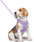 rabbitgoo Dog Harness Small Medium Sized and Leash Set, Step in Soft Light Puppy Vest, Breathable Mesh Pet Harness, Reflective for Safe Easy Walking, Light Purple L