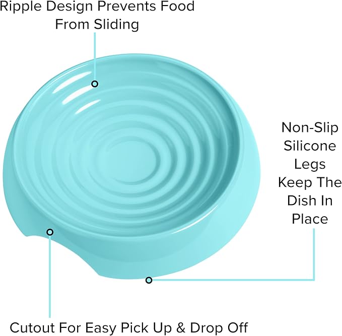 CatGuru Cat Bowls, Whisker Friendly Food Bowl for Indoor Cats, Reliefs Whisker Fatigue, Wide Kitten Dish, Non Slip Pet Dishes, Shallow Pet Plates (Aruba)