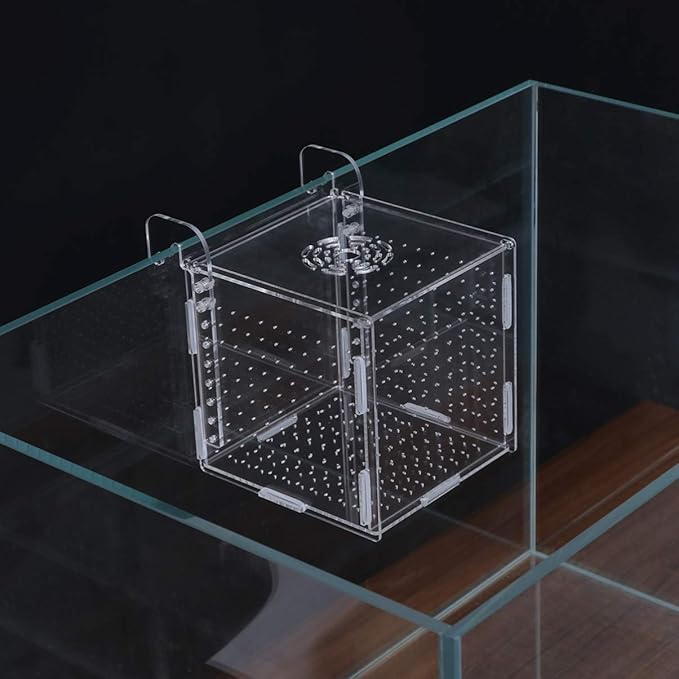 Aquarium Fish Breeding Box - Transparent Acrylic Fish Tank Hatchery Hanging Incubator for Shrimp Clownfish (Hook 151516cm)