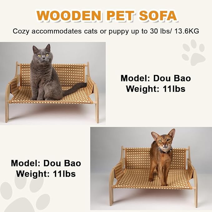 2 in 1 Large Woven Rattan Cat Couch Bed with 19x 14'' Removable Plush Pad Mat, Pet Sofa for Indoor Elevated Cat Beds Suitable for Kitty, Puppy or Small Animal (Supports 33 lbs)