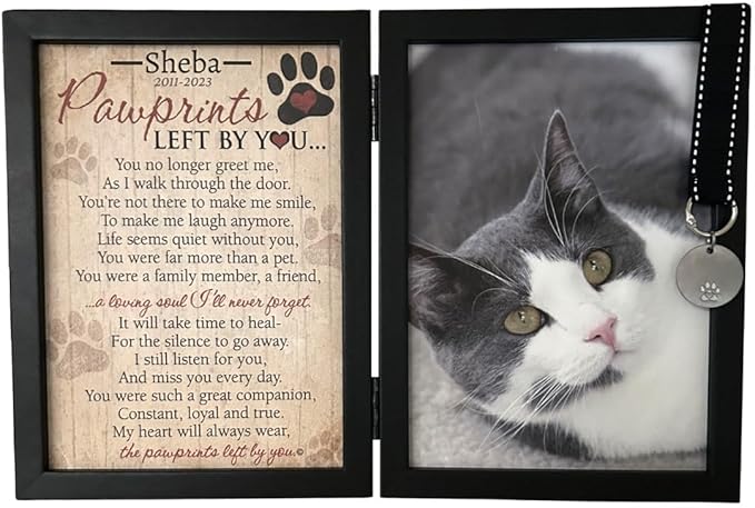 Pawprints Left By You Memorial 5x7 Frame for Cat with Pet Tag - Thoughtful Cat Memorial Gift (Black Personalized)