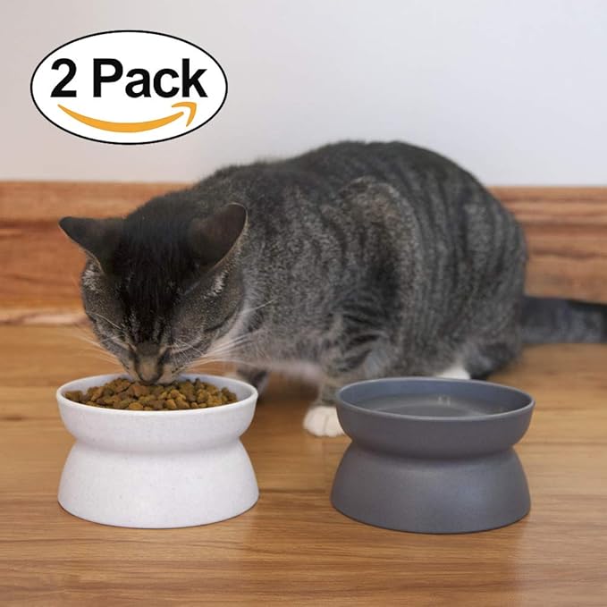 Kitty City Elevated Cat Bowls (Set of 2), Whisker-Friendly Raised Cat Food & Water Dishes, Modern Pedestal Design, Dishwasher Safe, 6.5 oz Each – White & Gray