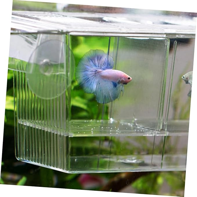 Happyyami Aquarium Incubation Box Fish Fry Breeding Tank Isolation Box Suction Cup for Freshwater Fish