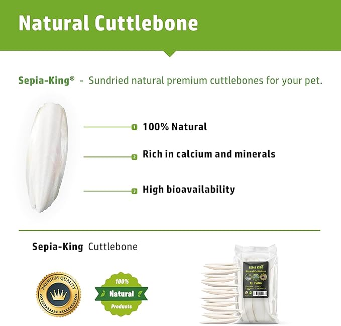 Large - Cuttlebone for Birds, Tortoises, Snails, Reptiles 5.5-7" - 8.8oz - 100% Natural Calcium Supplement, Food and Toys for Parakeets, Turtles