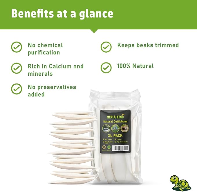 Large - Cuttlebone for Birds, Tortoises, Snails, Reptiles 5.5-7" - 8.8oz - 100% Natural Calcium Supplement, Food and Toys for Parakeets, Turtles