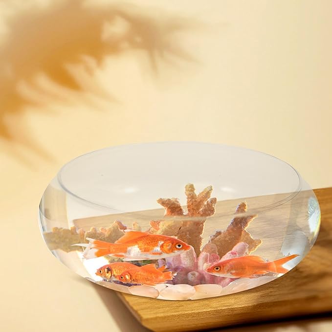 BESPORTBLE Clear Fish Bowl Vase Bubble Bowl Wide Mouth Flower Vase Round Shallow Planter Terrarium Aquatic Plant Pot Daffodil Pot Hydroponic Planter Fish Tank Bowl