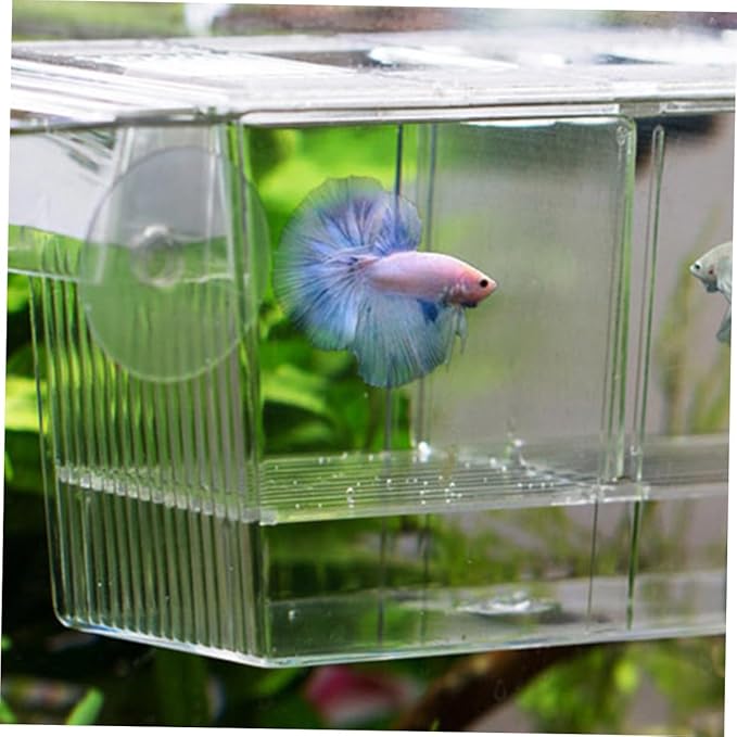 balacoo Portable Fish Tank Fish Breeding Box for Aquarium Floating Breeding Box Suction Cup Incubation Container Breeder