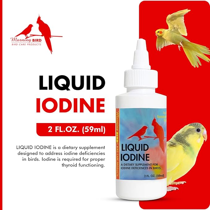 Morning Bird Liquid Iodine for Birds 2 fl oz – Iodine Mineral Supplement – Supports Feather Growth, Molting, Energy & Healthy Thyroid Function – Easy-to-Use Drops