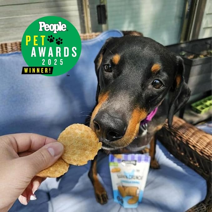 Three Dog Bakery Bark’N Crunch! Chicken Chips, Cheese Flavor, Crunchy Treat for Dogs, Two Ingredients, High Protein Snacks, No Artificial Flavors or Colors, Made in The USA, 3.8 oz.