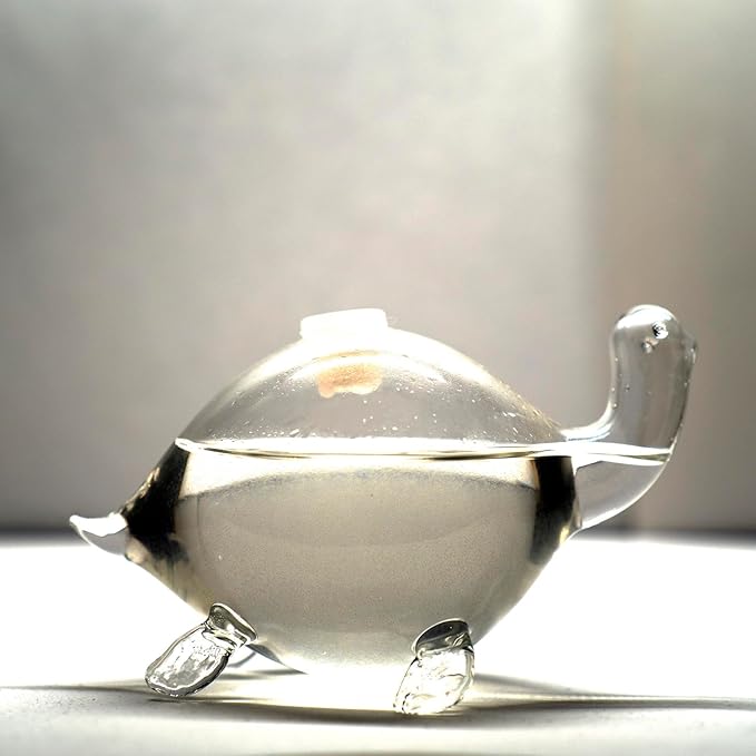 Bioluminescent Bio-Turtle Gift Option, Glass Turtle Micro-Aquarium, Redeemable PyroDino Card for Live PyroDinos and DinoNutrients
