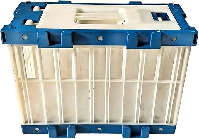Portable Bird Carrier - Pigeon Cage Lock Device, Breathable Small Transport Crate, Training Release Box with Motion, Carrier Modern Appeal, Bird Accessory for Outdoor, Parakeet, Parrot