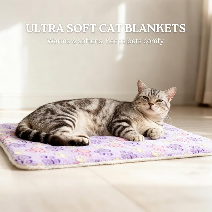 2 Pack Cat Blankets for Indoor Cats, Ultra Soft Reversible Mat, Fluffy Flannel Blanket for Small Dogs and Cats, Washable Pet Pad