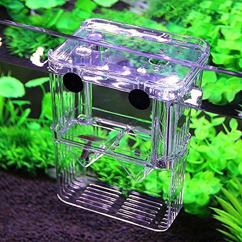 XMHF Plastic Fish Isolation Box Multi-Functional Breeding Hatchery Incubator Box