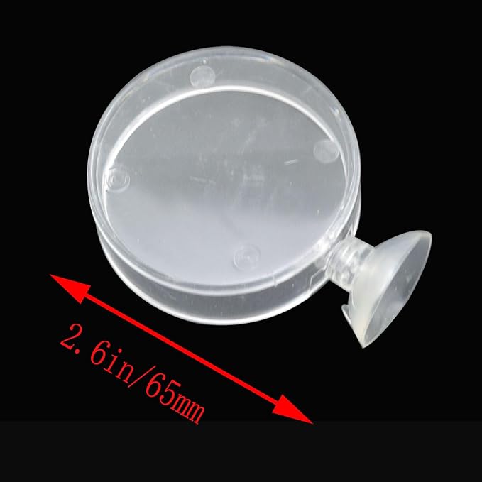 Transparent Feeding Bowl Acrylic Round Hollow Bowl 6.5cm with Suction Cup Feed Tray Tray for Aquarium Fish and Shrimp Adjustment