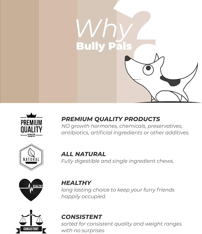 12 inch Standard Bully Sticks for Dogs - 10 Pack - 100% Natural, Single Ingredient, Easily Digestible, All Beef Dog Treats and Rawhide Free Dental Chew Bones for Dogs