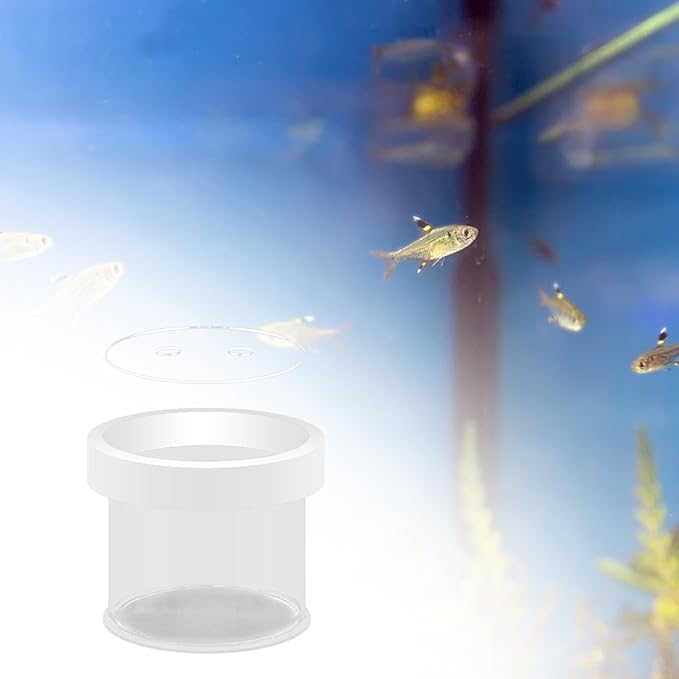 Fish Breeder Box Fish Tank Hatchery Floating Acrylic Transparent Fine Mesh Bottom Isolation Box Incubator for Baby Fish Betta, 12cmx10cm