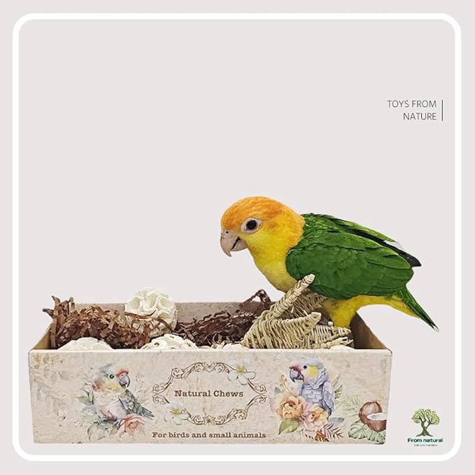 Bird Toys Bird Foraging Shredding Chewing Parrot Foraging Shredding Toys Chewing Toy Birdcage Accessories for Conures Caiques Cockatiel Budgies Parakeet and Small to Medium Birds