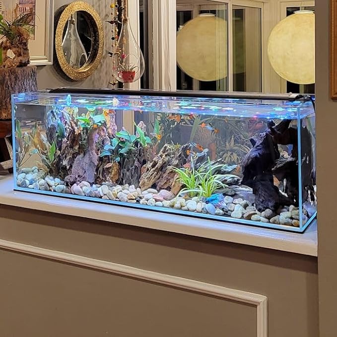Lifegard Aquatics Ultra Low Iron Glass Bookshelf Aquarium, 22 Gallon, 35.82" L X 11.81" W X 11.81" H