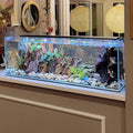Lifegard Aquatics Ultra Low Iron Glass Bookshelf Aquarium, 22 Gallon, 35.82" L X 11.81" W X 11.81" H