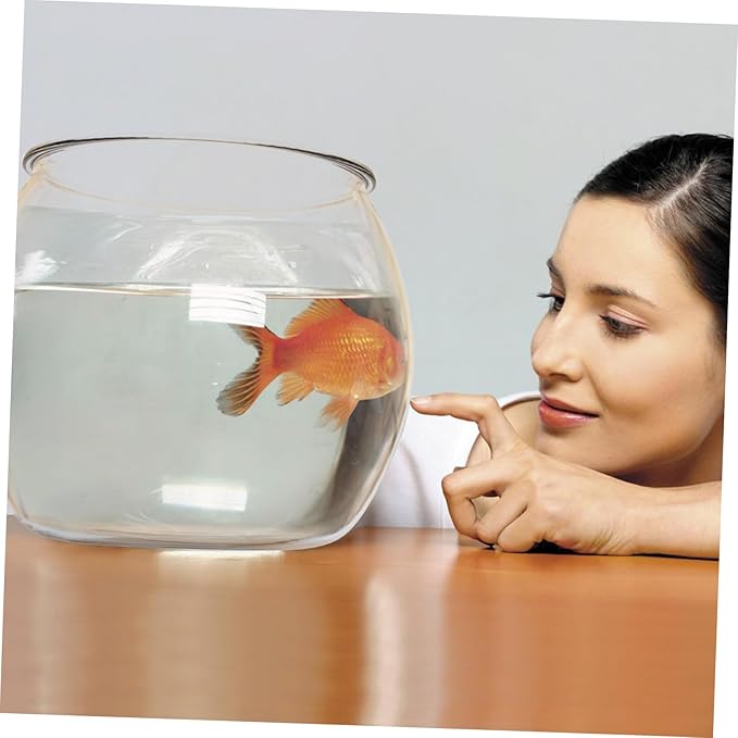 Fish Tank Plastic Fish Bowl Round Fish Bowl Transparent Small Aquarium -Falling for Betta Fish, Goldfish, Candy, Party Favors Bubble Bowl