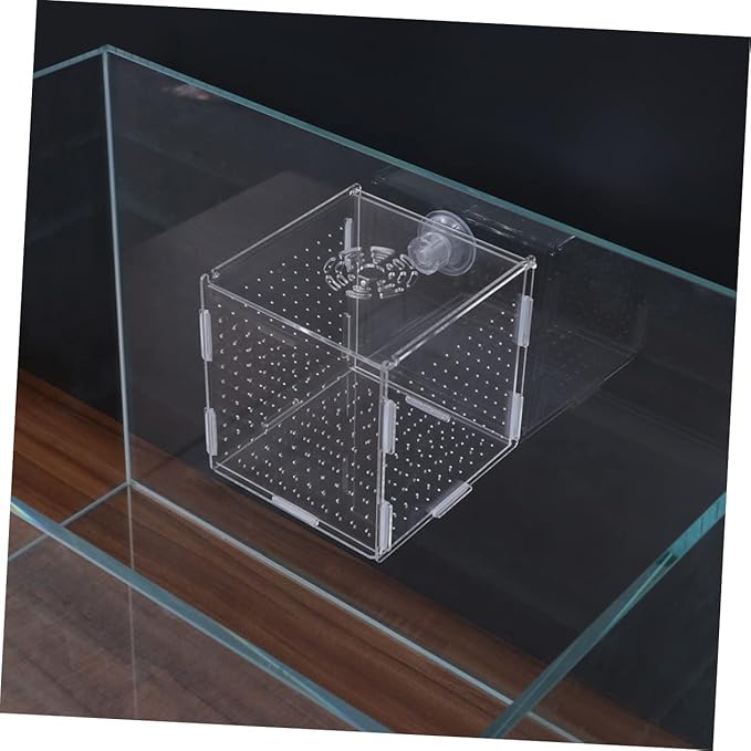 Modern Fish Tank Isolation Box Acrylic Fish Breeding Tank for Betta Guppy Suction Cups and Divider