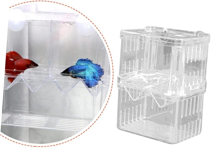 BESPORTBLE Fancy Guppies Live Fish Incubation Box Fish Breeding Tank for Hatchery Safe Easy to Clean