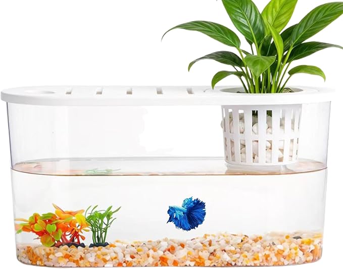 1 Gallon Betta Fish Tank Unbreakable Plastic Aquarium Oblate Fish Bowls with Plant Basket & Lid for Desktop Decoration