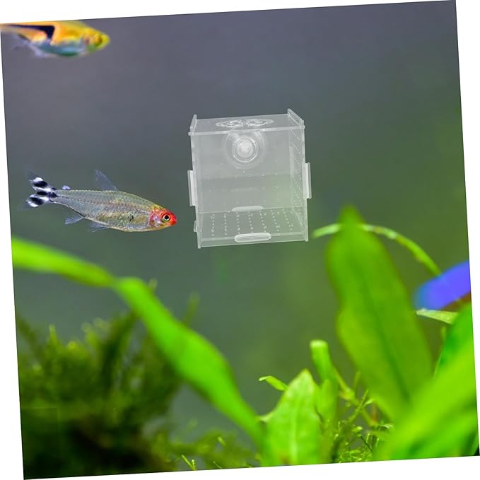 Milisten Breeder Box for Fish Tank Transparent Acrylic Isolation Box Aquarium Fish Breeding Trap
