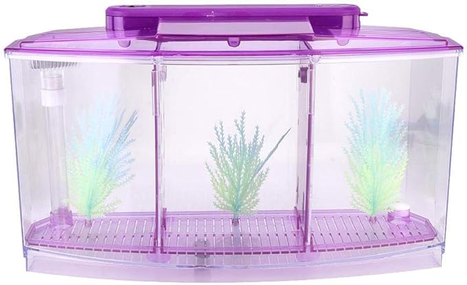 Three Areas Acrylic Small Aquarium, Mini Fish Tank, for Betta for Small Fishes(Purple)