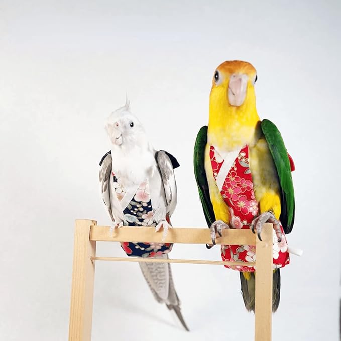 Bird Flight Suits Diapers, Parrot Flight Suits Diapers for Monk Parakeets, Cockatiels Flight Suits, Parrot Clothes, Bird Training Nappy Suit Liners Clothes (Medium,Black)