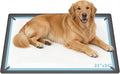 ALOOF Large Silicone Dog Pee Pad Holder 25x36 in, Puppy Potty Training Tray with Magnetic Snaps & Raised Edges, Non-Slip Floor Protector, Gray
