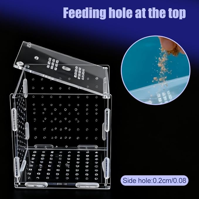 Aquarium Breeding Box,Magnetic Fixation Acrylic Fish Tank Isolation Box with Feeding Hole for Fish Hatching Rearing