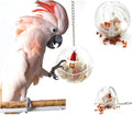 Parrot Creative Foraging Systems Foraging ball- Bird Intelligence Growth Cage Acrylic Box Toys (A)