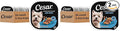 Cesar Classic Loaf in Sauce Adult Wet Dog Food Lamb Recipe, 3.5 oz Easy Peel Trays, 24 Count (Pack of 2)