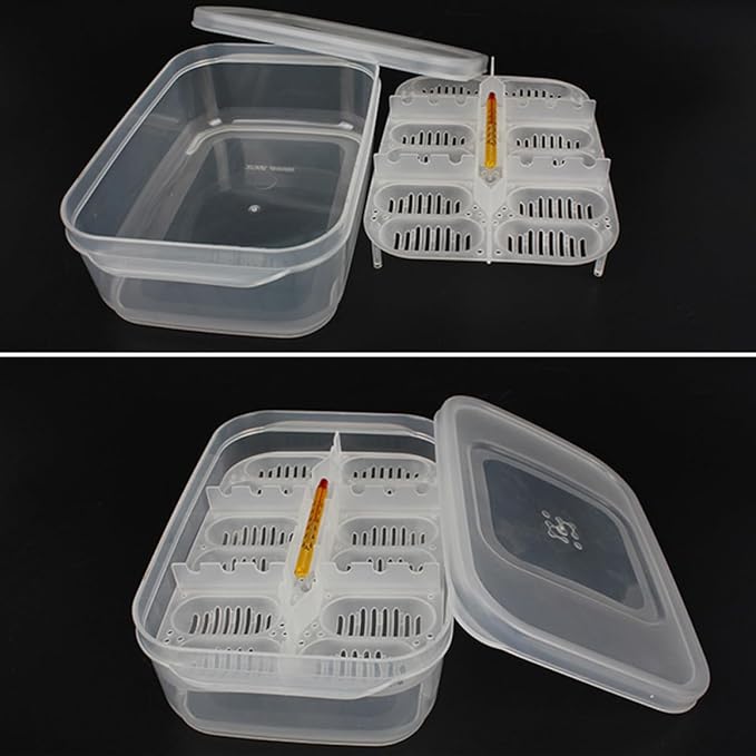 Angoily 3Pcs Transparent Reptile Egg Box Set with Thermometer for Snake and Lizard Egg Incubators 2.56X1.7X2.32 Inch Breeder Tray for Easy Observation and Cleaning