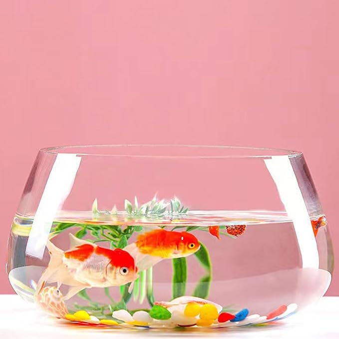 Thickened Round Glass Turtle Tank Mini Aquarium Fish Bowl for Home Desktop Micro Landscape Aquatic Plants Vase