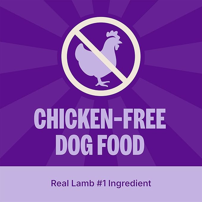 Wellness CORE Adult Dry Dog Food, Grain Free Kibble, Natural, High Protein, Lamb Recipe, 22 lb Bag