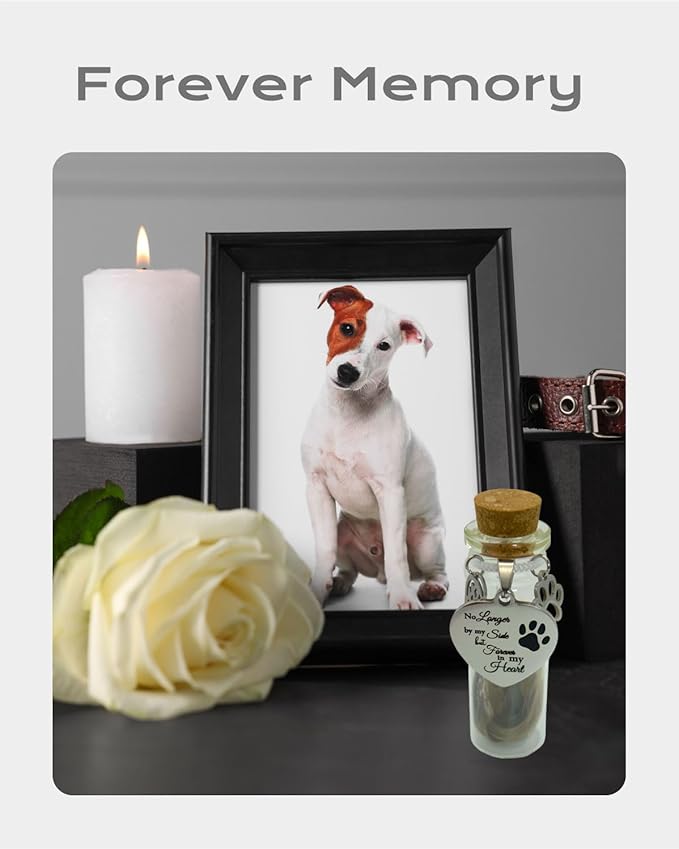 Pet Memorial Hair Keepsake Sympathy Gift for Loss of Dog or Cat, Pet Passing Away Funerary & Bereavement Remembrance Fur Glass Bottle with Heart Shape Ornaments
