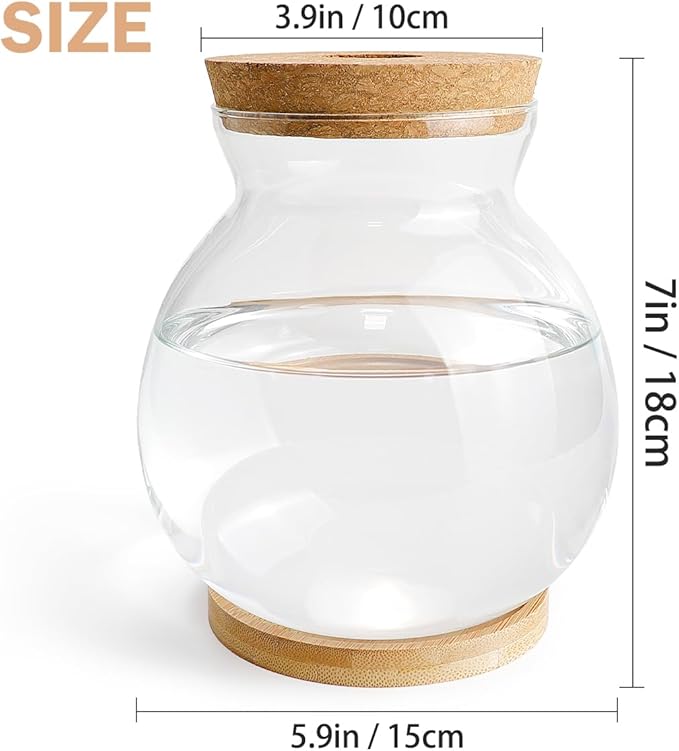 DOERDO Desktop Fish Bowl Landscape Bottle Mini Glass Terrarium Clear Glass Small Fish Tank for Small Betta Fish Plants, 7x5.9 Inch
