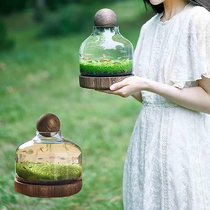 Glass Aquarium Fish Tank Plant Terrarium Bowl Micro Ecological Landscape Self-circulating Plant Vase Desktop Planter Jars Breeder Box, A