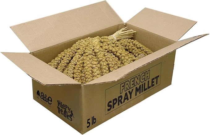 A&E Cage Company - 5lb French Millet Spray - Parakeets, Cockatiels, Lovebirds, Finches, Budgies, Canaries, Cockatoos - Natural & Healthy Millet for Birds