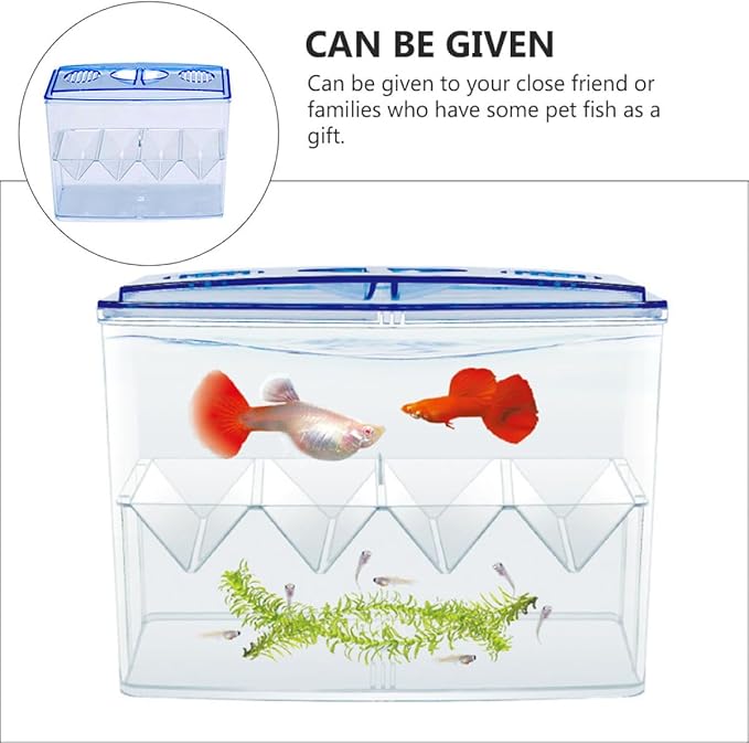 Small Fish Breeding Incubator Box Freestanding Hatchery Isolation Tank No Gap Seamless Design for Aquarium Fish Hatching and Reproduction