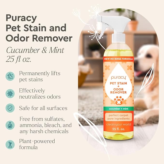 Puracy Natural Platinum Pet Stain and Odor Remover Plant-Powered Professional Pet Urine Odor Eliminator with Natural Enzymes Safe and Effective Carpet Pet Stain Remover and Cleaner, Cucumber & Mint