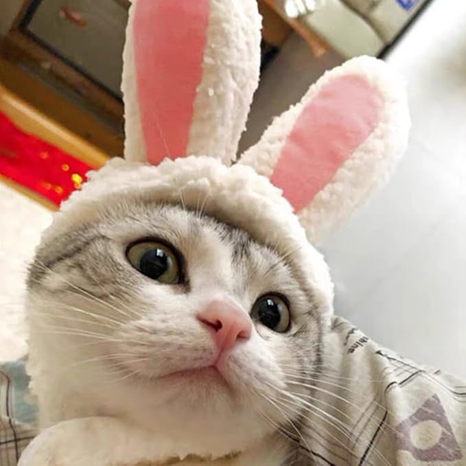 Cat Halloween Costumes - 2 Pcs Lion Mane Wig for Cat & Bunny Rabbit Hat with Ears,Funny Pet Clothes Dress for Halloween,Fits Most Cats(M Size)